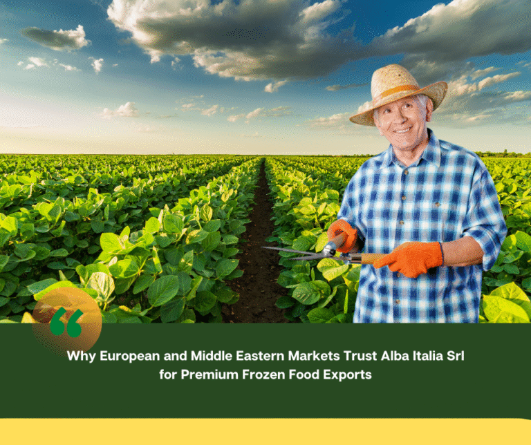 Perché i mercati europei e mediorientali si fidano di Alba Italia Srl per le esportazioni di alimenti surgelati premium
