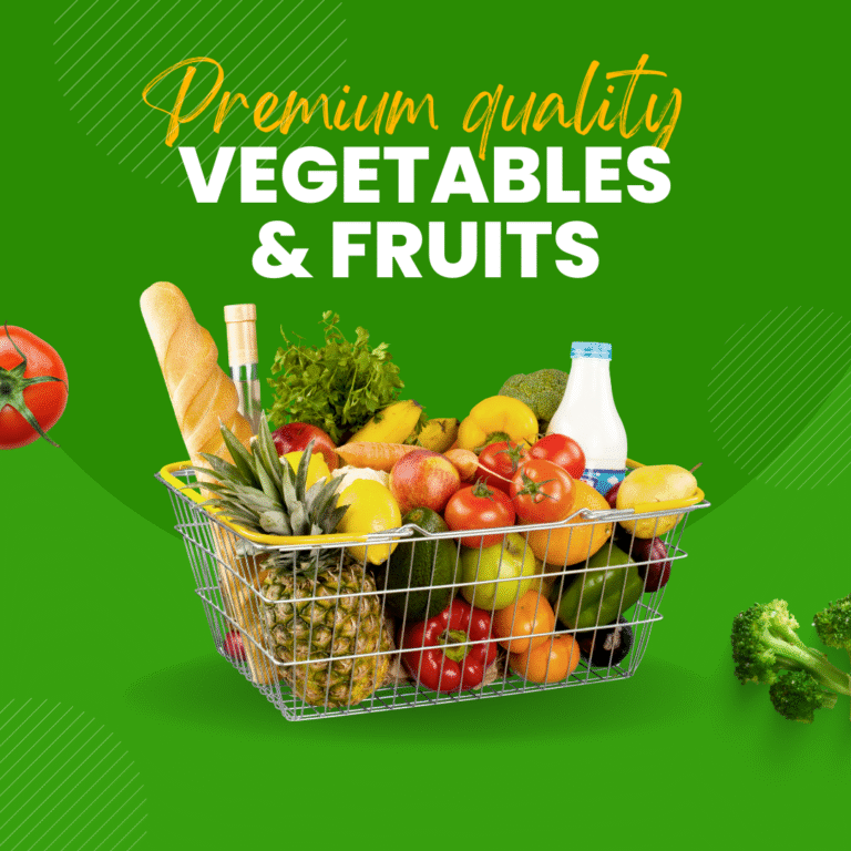 Come Alba Italia Srl sta ridefinendo la qualità nell’industria globale degli alimenti surgelati